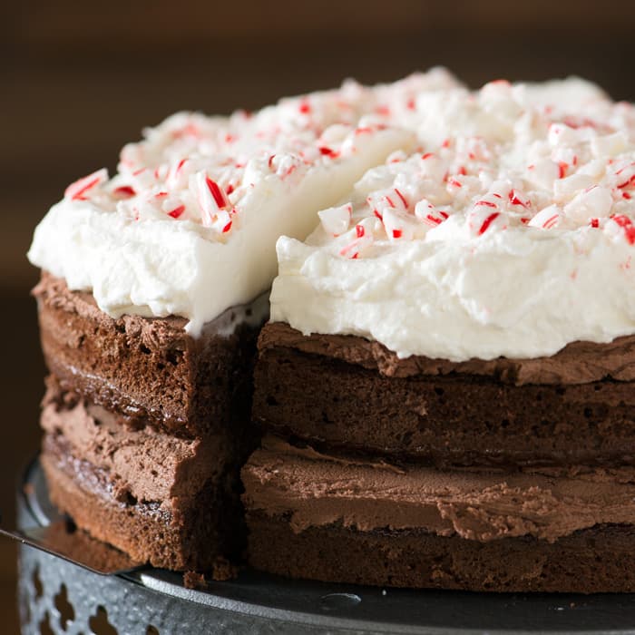 Peppermint Mocha Cake - Chocolate Chocolate and More!