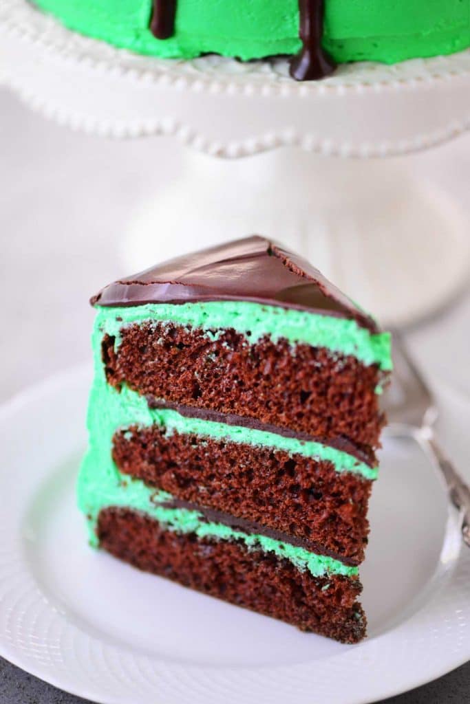 Chocolate Mint Cake - The Gunny Sack