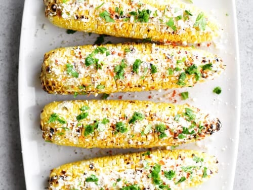 Mexican Street Corn Seasoning