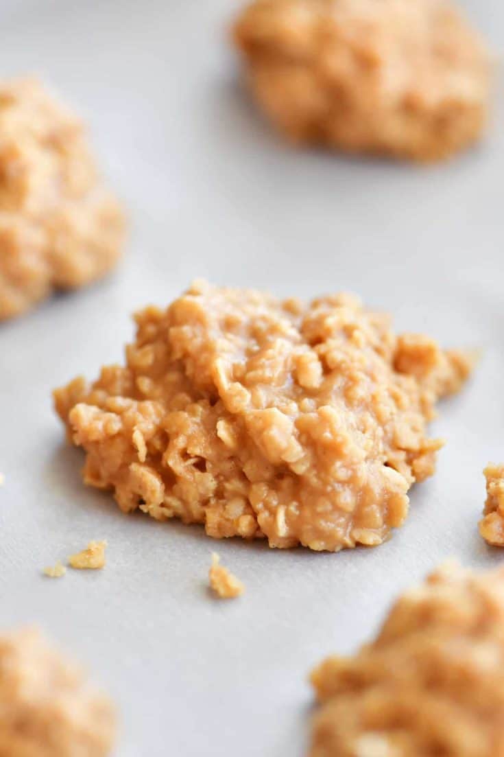 Peanut Butter No Bake Cookies - The Gunny Sack