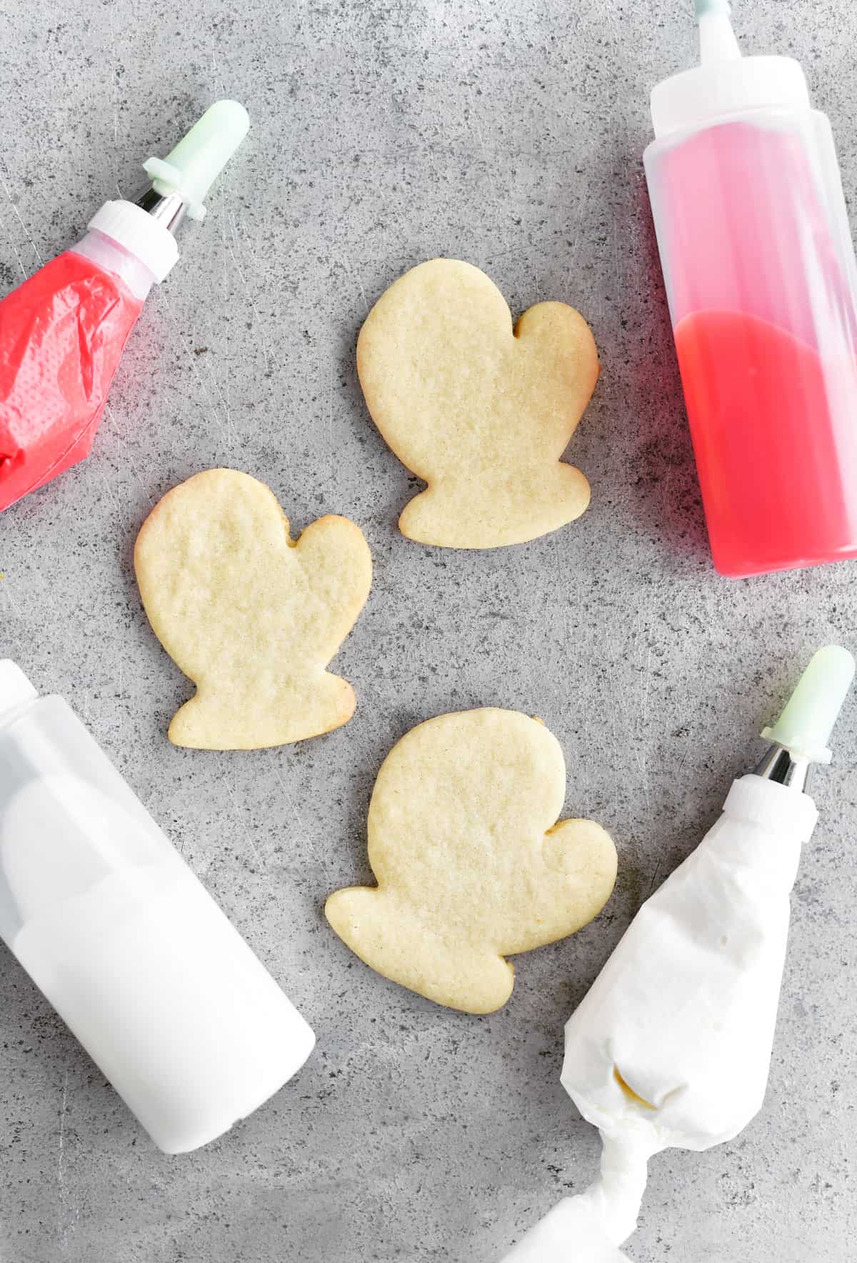 Sugar cookie decorating party supplies. Squeezy bottles of royal icing for  easy use. : r/Baking