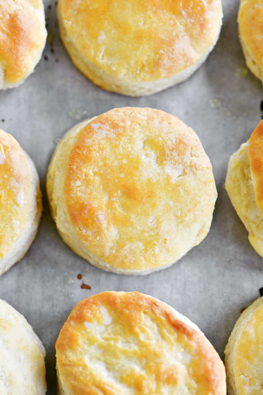 Bisquick Biscuits with Buttermilk - The Gunny Sack