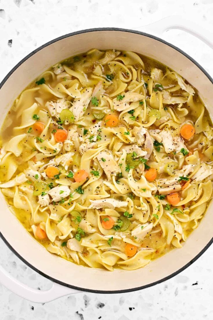 Chicken Noodle Soup Recipe - The Gunny Sack