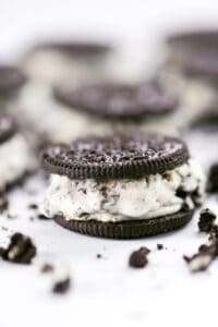 Oreo Ice Cream Sandwich - The Gunny Sack