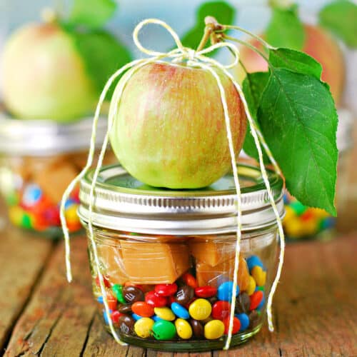 https://www.thegunnysack.com/wp-content/uploads/2023/10/Caramel-Apple-In-A-Jar-SQ-500x500.jpg