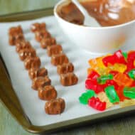 Chocolate Covered Gummy Bears Recipe