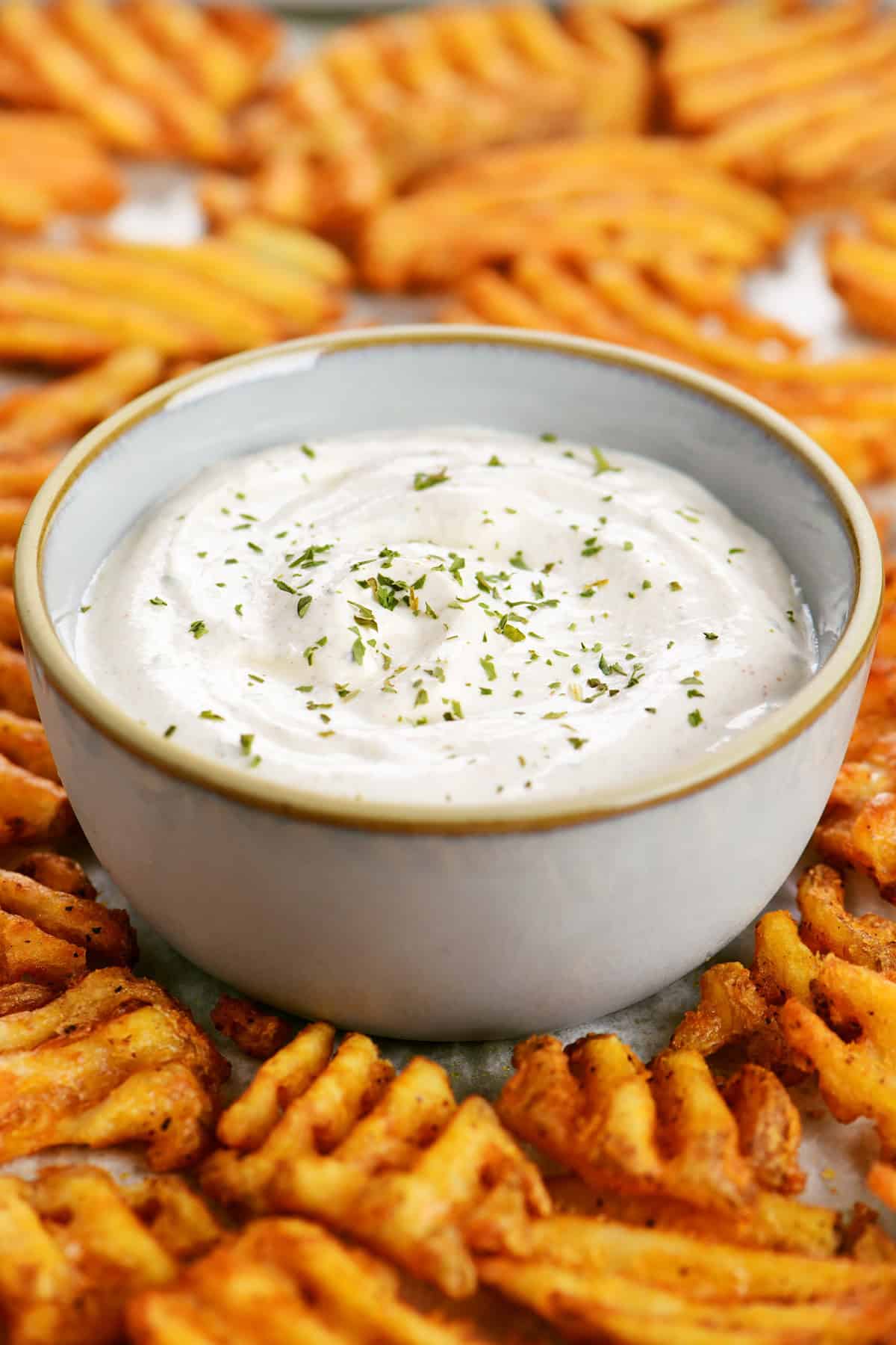 Seasoned sour cream in a gray bowl surrounded by waffle fries.
