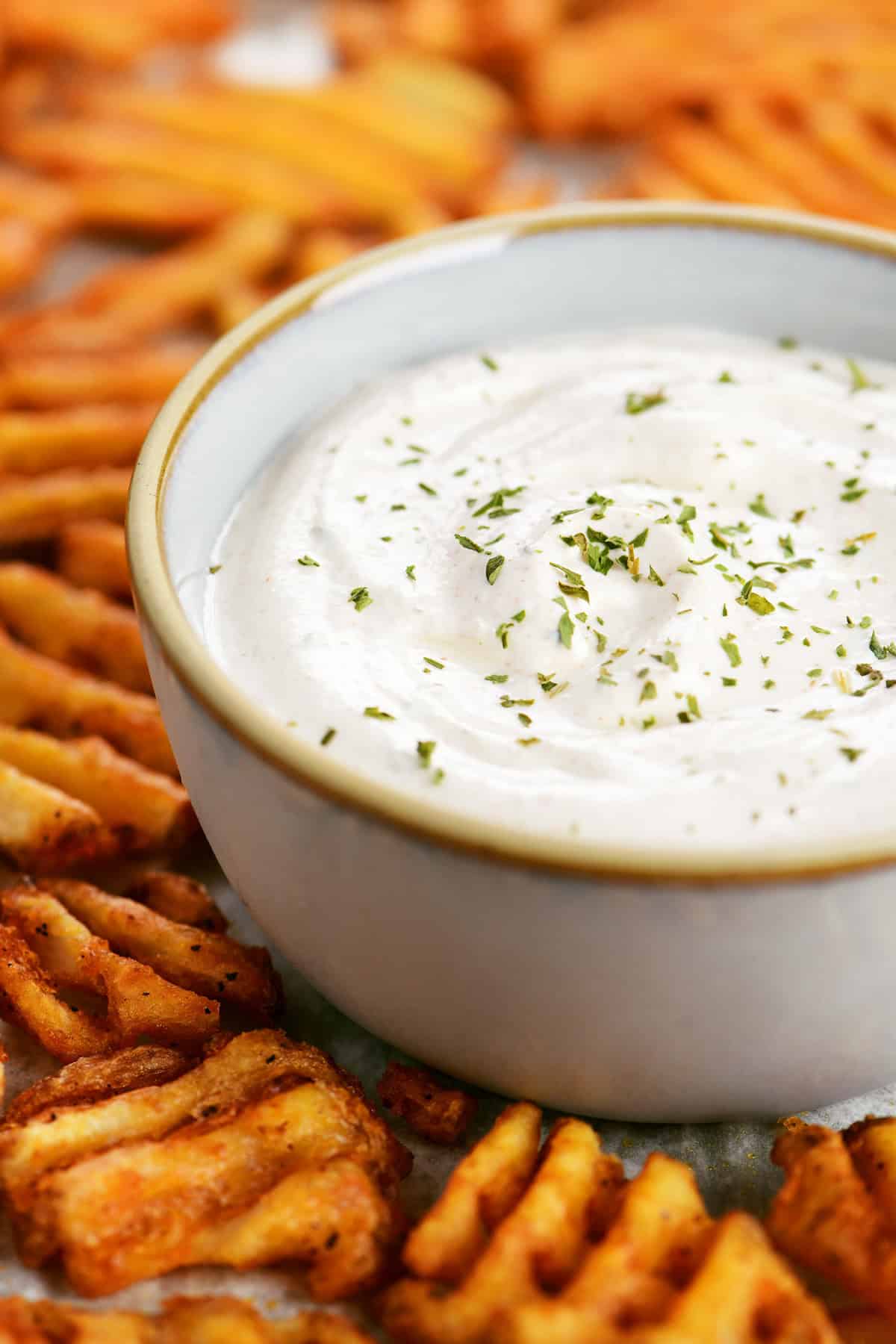 Seasoned sour cream in a gray bowl surrounded by waffle fries.