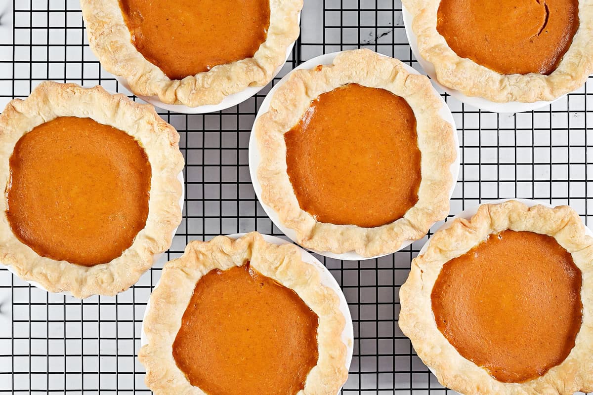 Six mini pumpkin pies cooling on a wire rack.