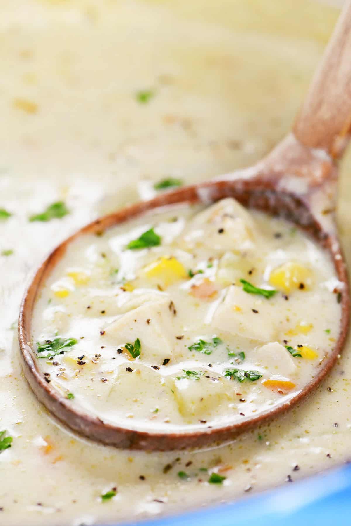 A ladle of Thanksgiving soup.