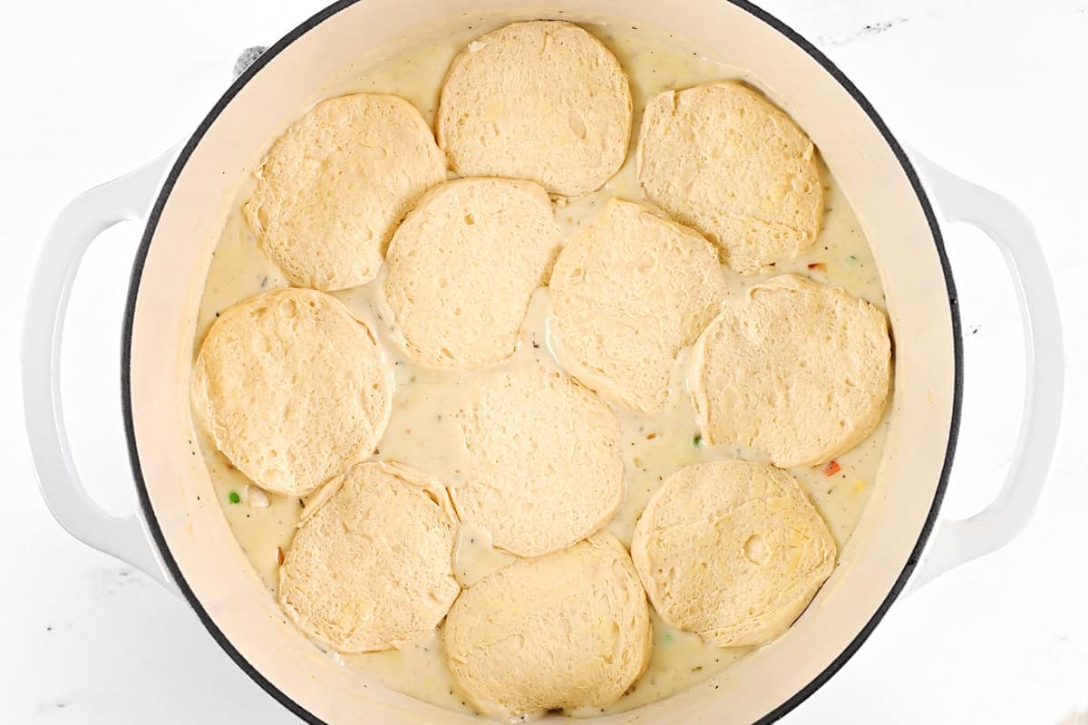 Biscuit dough on top.