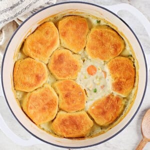 Turkey pot pie with biscuits.