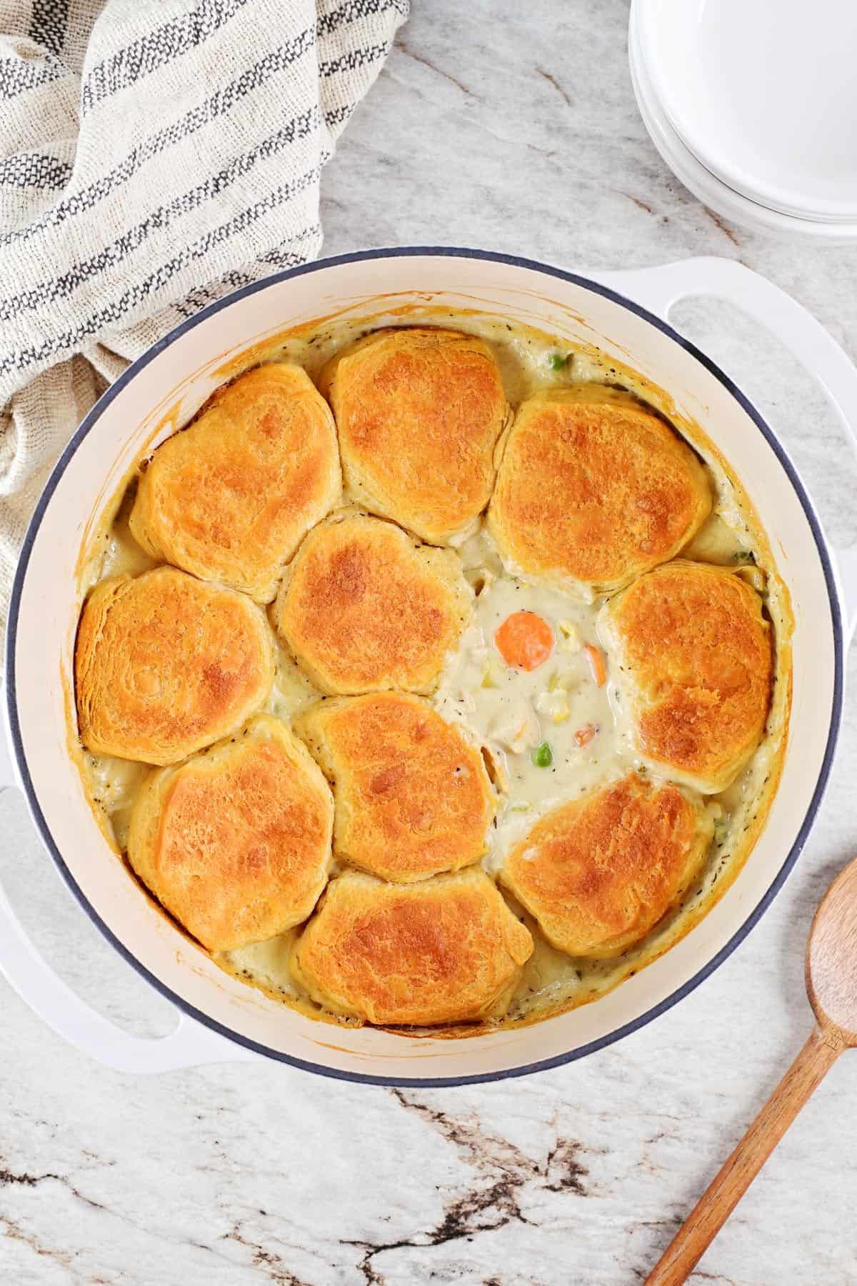 Turkey pot pie with biscuits.