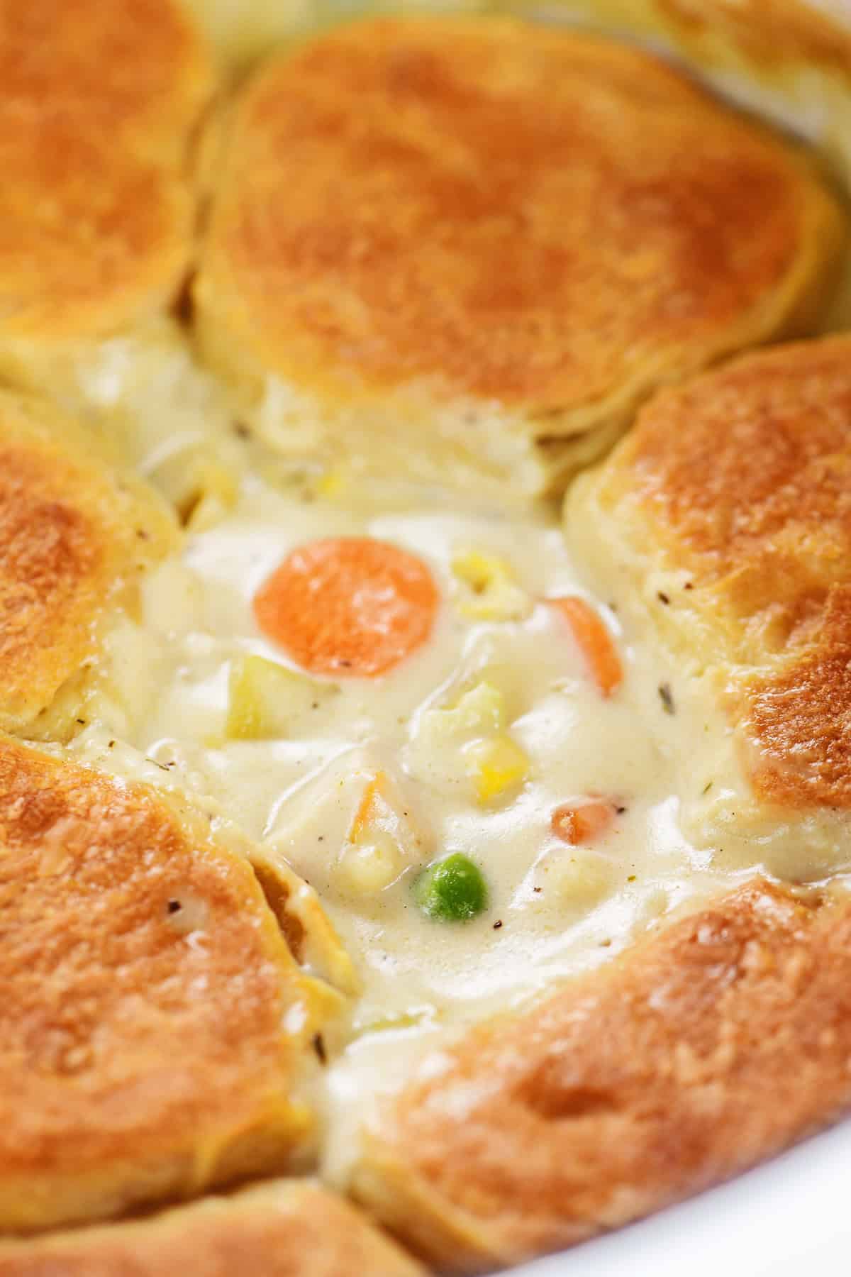 Turkey pot pie with biscuits.