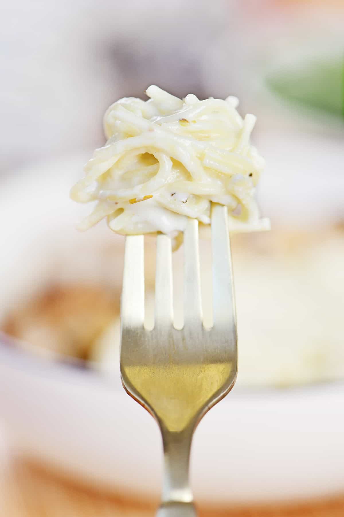 Thin spaghetti noodles wrapped around a gold fork.